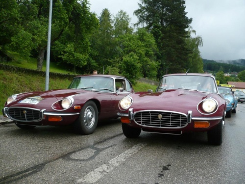 Jaguar tour 2012 II_38