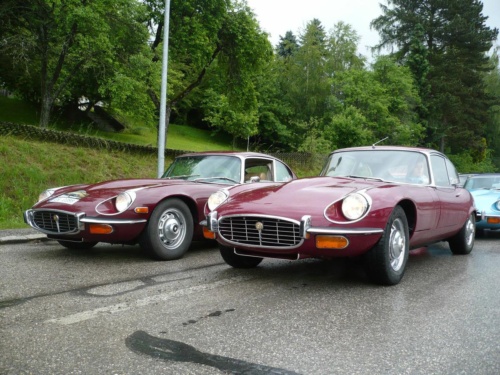 Jaguar tour 2012 II_41