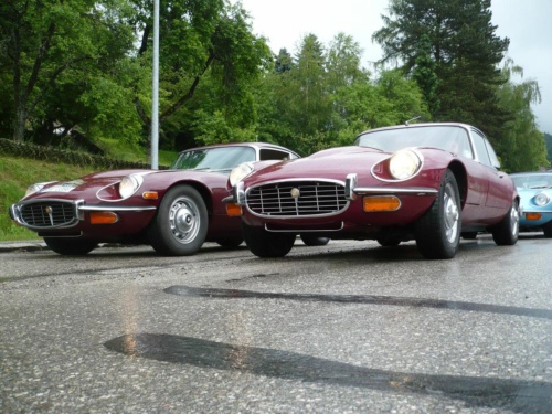 Jaguar tour 2012 II_42