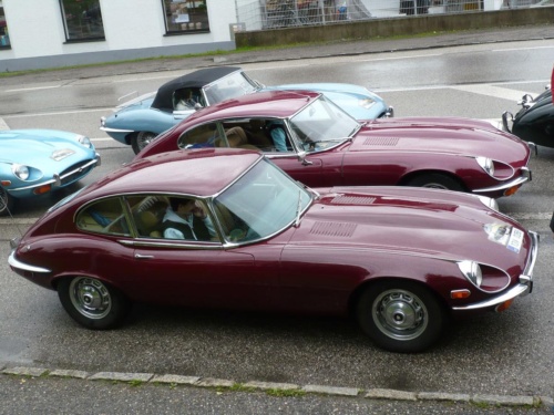 Jaguar tour 2012 II_51