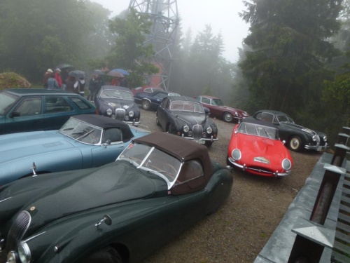 Jaguar tour 2012_102