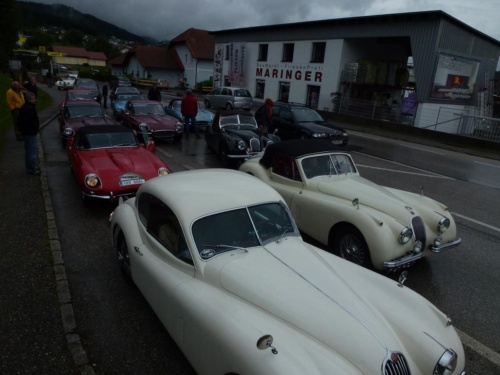 Jaguar tour 2012_48