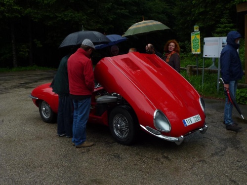 Jaguar tour 2012_60