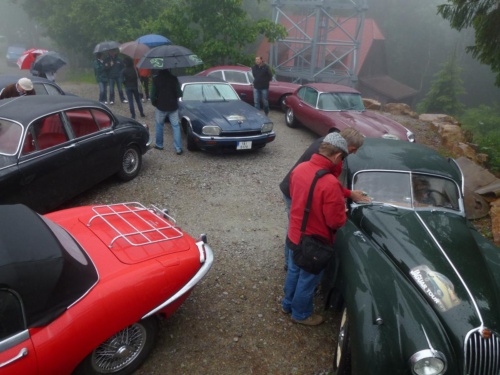 Jaguar tour 2012_99