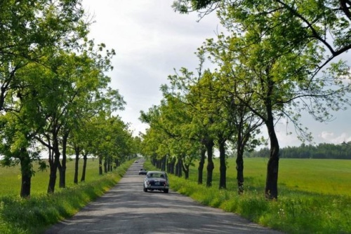 Jaguar tour Jeseníky 2013_06