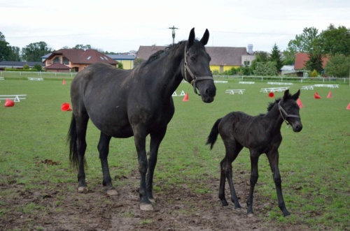 Kutna-Hora-JEC-2020_136