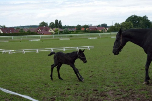 Kutna-Hora-JEC-2020_137