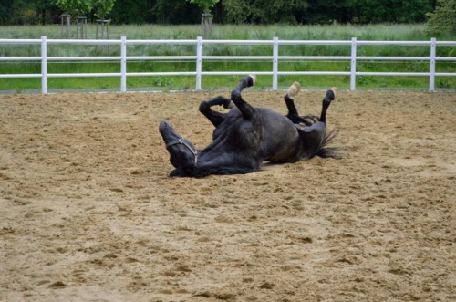 Kutna-Hora-JEC-2020_140