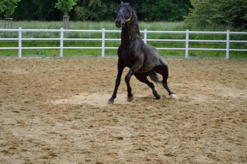 Kutna-Hora-JEC-2020_142