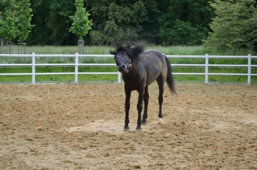 Kutna-Hora-JEC-2020_143