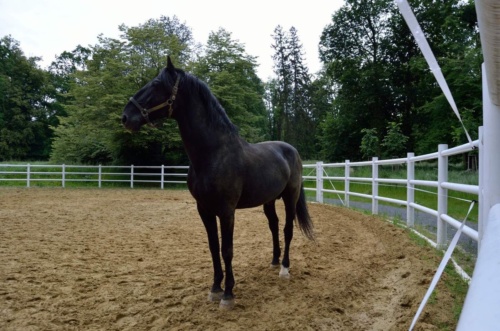 Kutna-Hora-JEC-2020_144