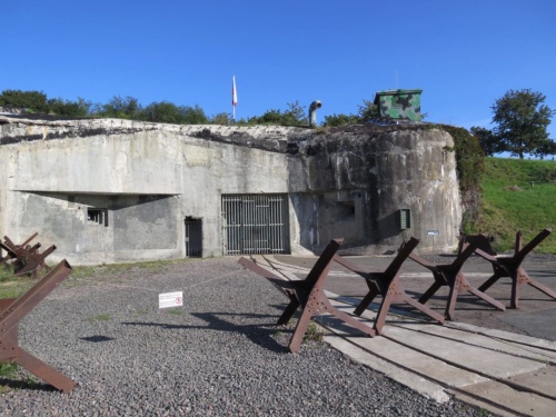 Orlicke hory Jaguar Meeting 2020 - Pelech_11