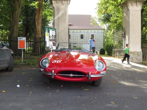 Orlicke hory Jaguar Meeting 2020 - Pelech_149