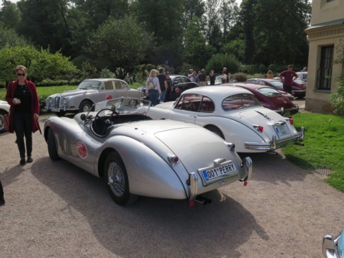 Orlicke hory Jaguar Meeting 2020 - Pelech_157