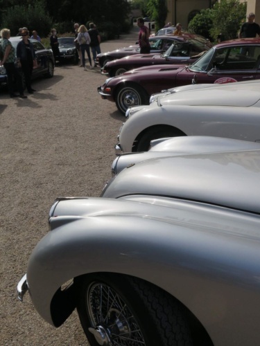 Orlicke hory Jaguar Meeting 2020 - Pelech_158