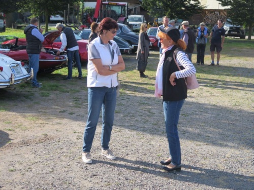 Orlicke hory Jaguar Meeting 2020 - Pelech_220