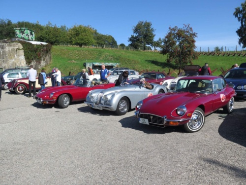 Orlicke hory Jaguar Meeting 2020 - Pelech_23