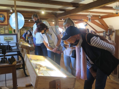 Orlicke hory Jaguar Meeting 2020 - Pelech_235