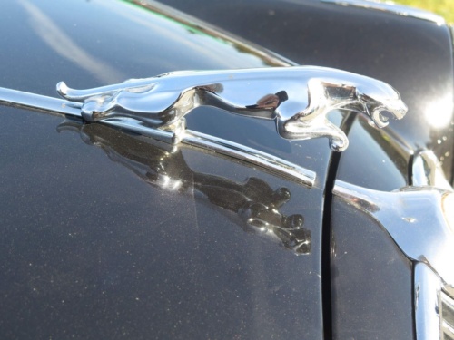 Orlicke hory Jaguar Meeting 2020 - Pelech_68