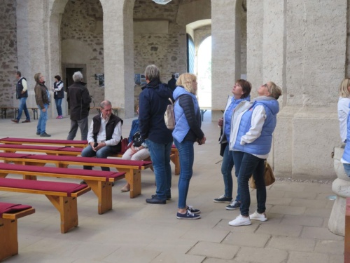 Orlicke hory Jaguar Meeting 2020 - Pelech_73