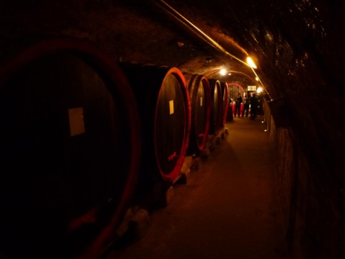 Sout Moravia Jaguar Meeting 2011_22