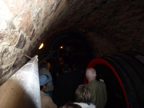 Sout Moravia Jaguar Meeting 2011_31