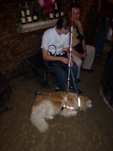 Sout Moravia Jaguar Meeting 2011_35