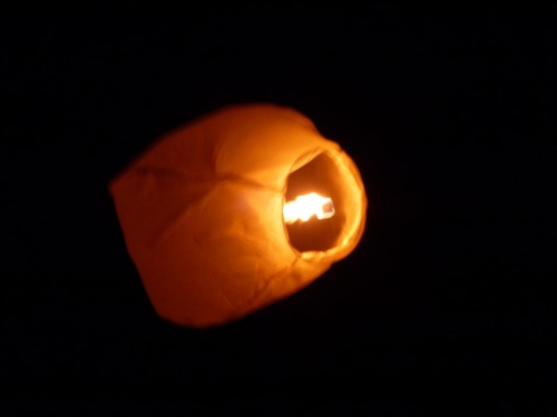 Sout Moravia Jaguar Meeting 2011_57