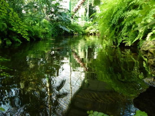 Sout Moravia Jaguar Meeting 2011_66