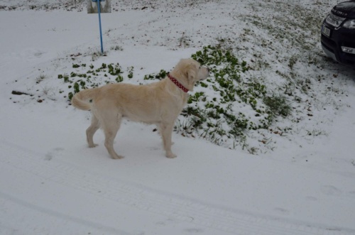 Vánoční besídka 2018 - JEC_09