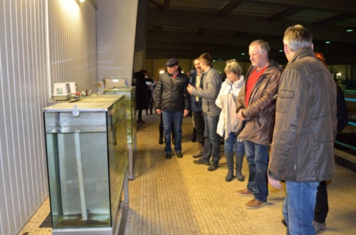 Vánoční besídka 2018 - JEC_23