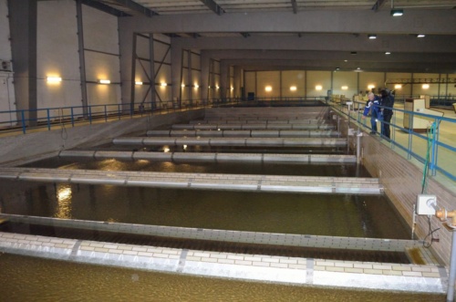 Vánoční besídka 2018 - JEC_24