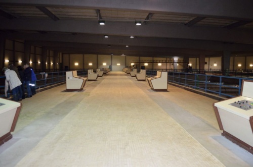 Vánoční besídka 2018 - JEC_25