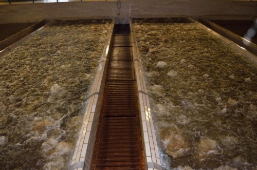 Vánoční besídka 2018 - JEC_28