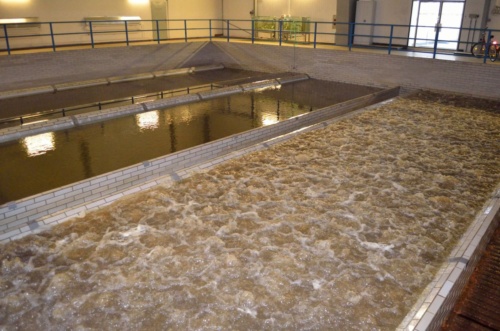 Vánoční besídka 2018 - JEC_29