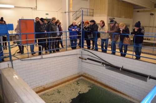 Vánoční besídka 2018 - JEC_32