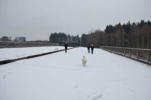 Vánoční besídka 2018 - JEC_48